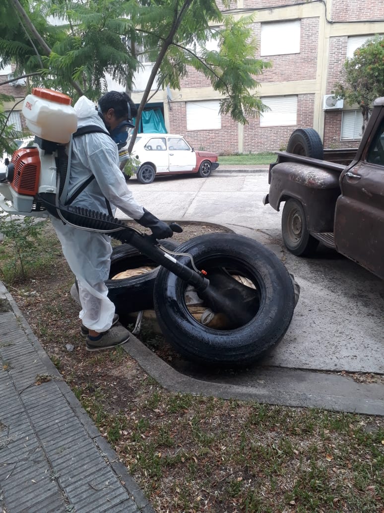 Esta acción se realizará en forma sistemática, según lo programado durante el período de actividad del mosquito.