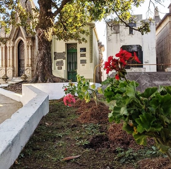 El Día de la Madre abrirá el Cementerio