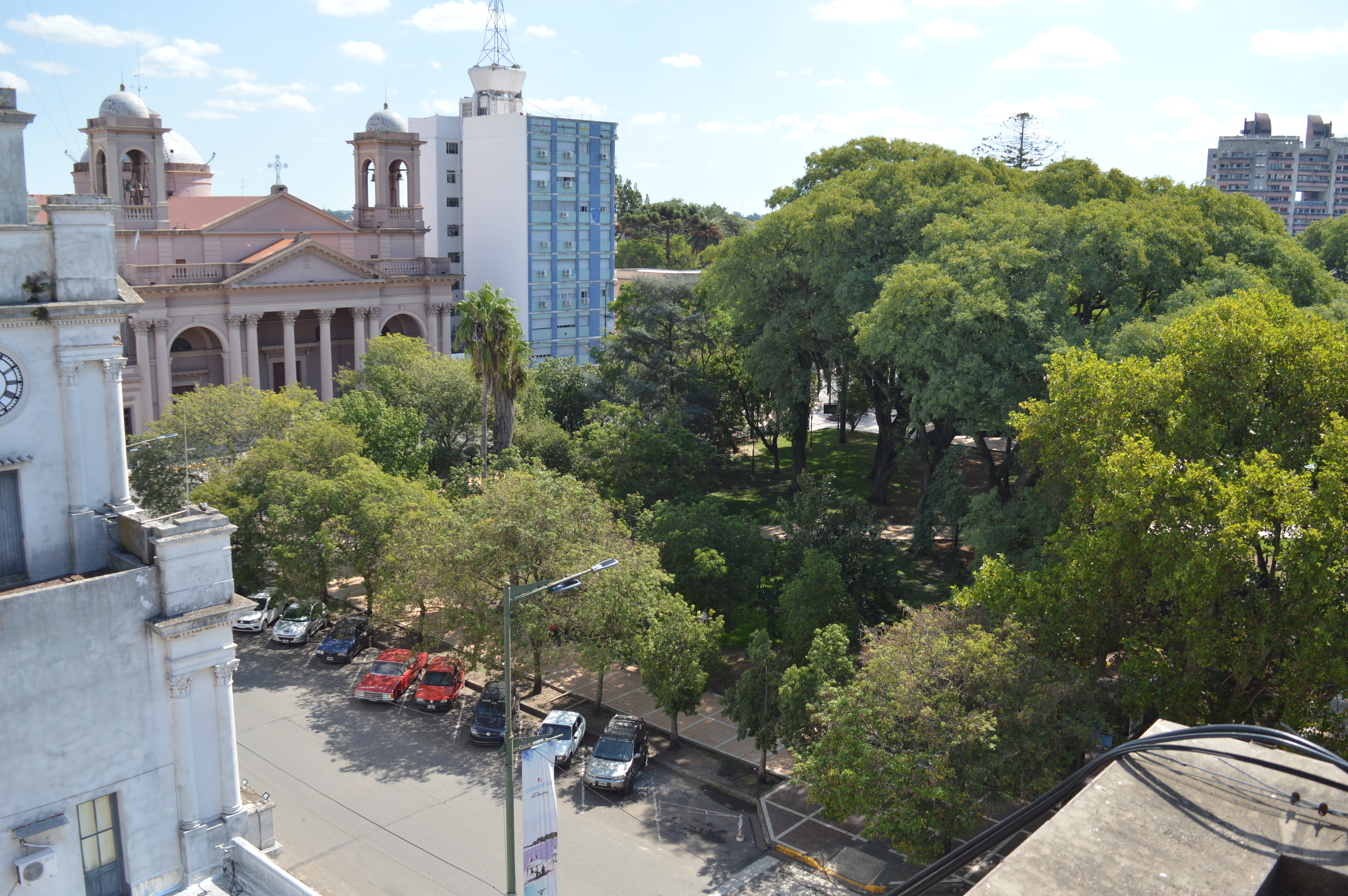 Se comenzará por los principales lugares en donde hay pocos árboles