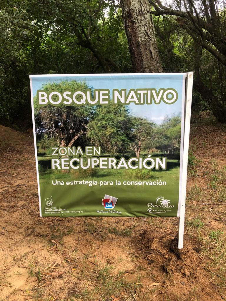 Técnicos de la Dirección de Salud Ambiental de la Municipalidad abordan el tema de cara a recuperar los sitios que fueron intervenidos.