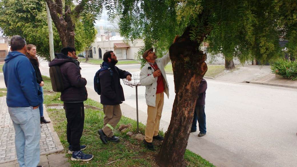 Capacitaron sobre el arbolado como base urbana, cuándo y cómo corresponde la poda.