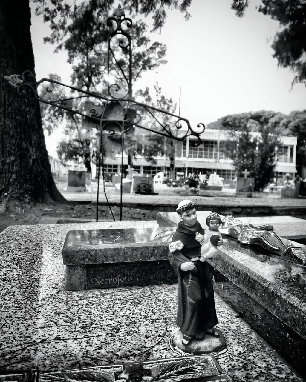 La foto: técnica y arte para mostrar el patrimonio del Cementerio Municipal