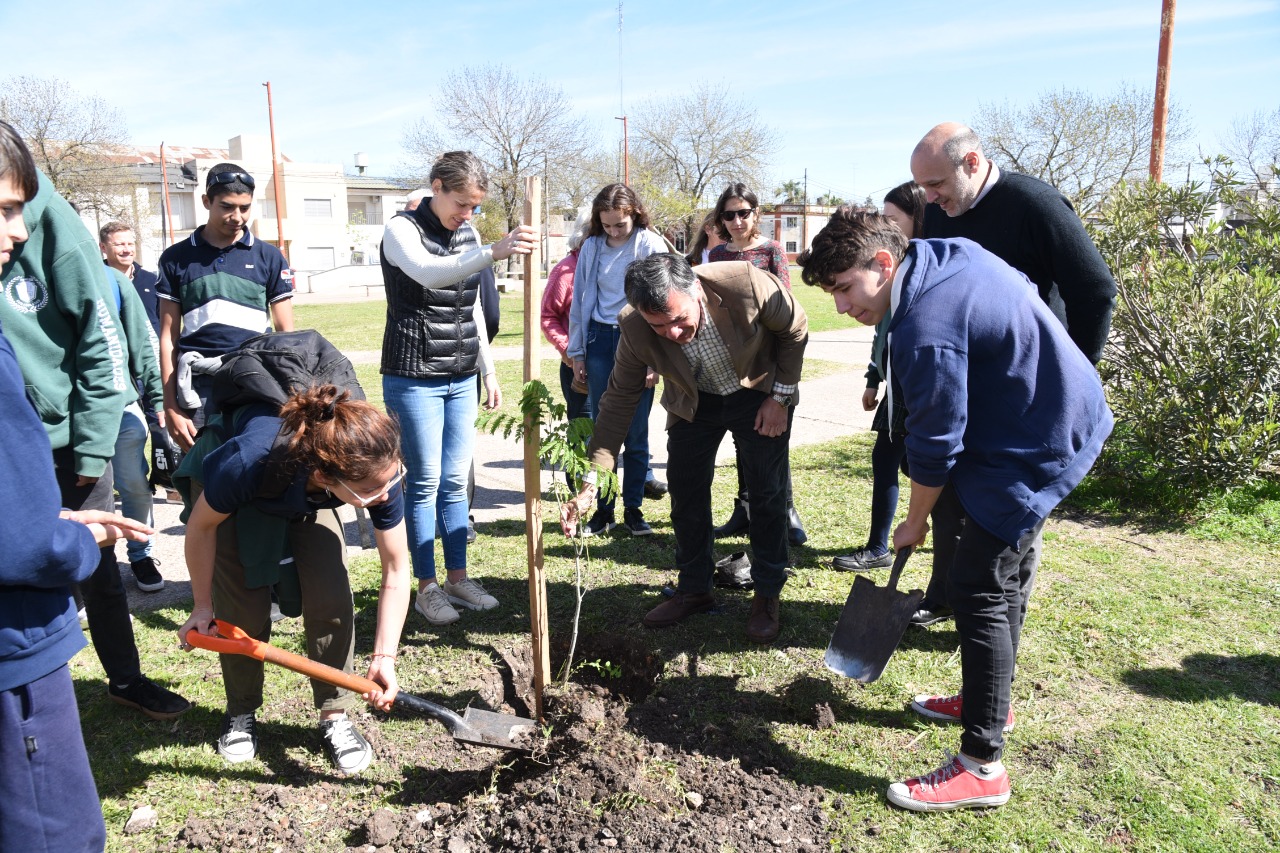 Continúan con la plantación de árboles en la zona costera