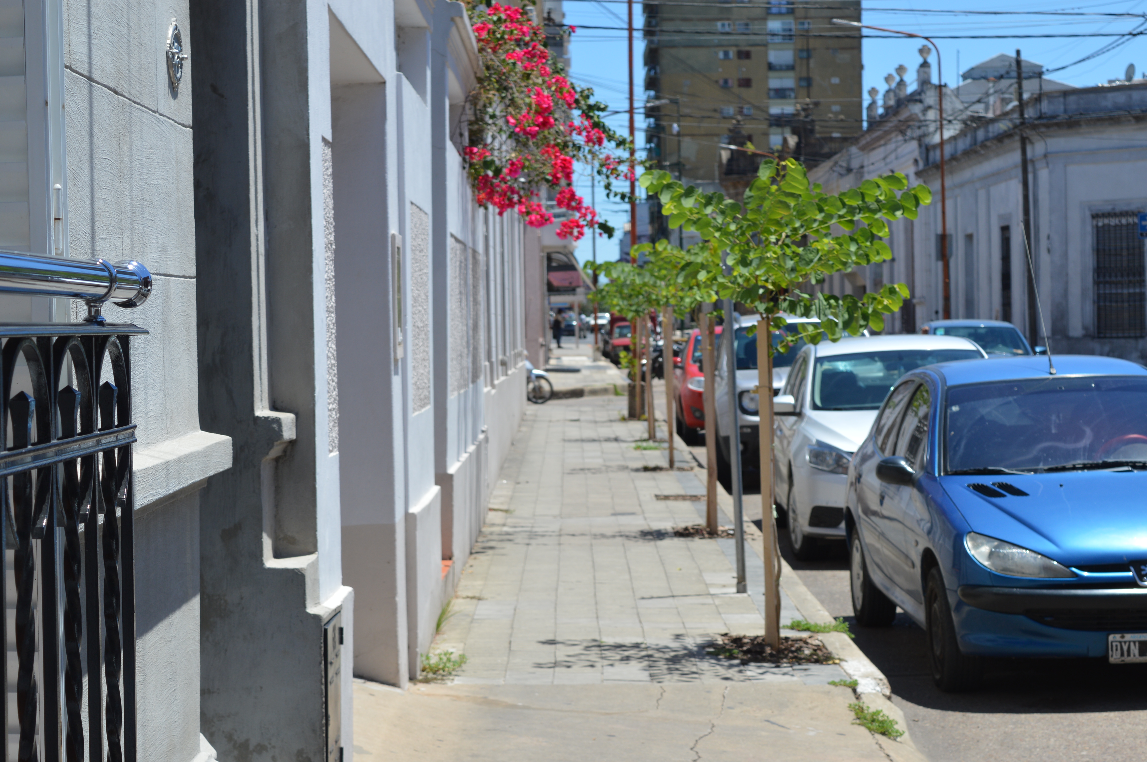 En Concepción del Uruguay ya se plantaron 860 árboles