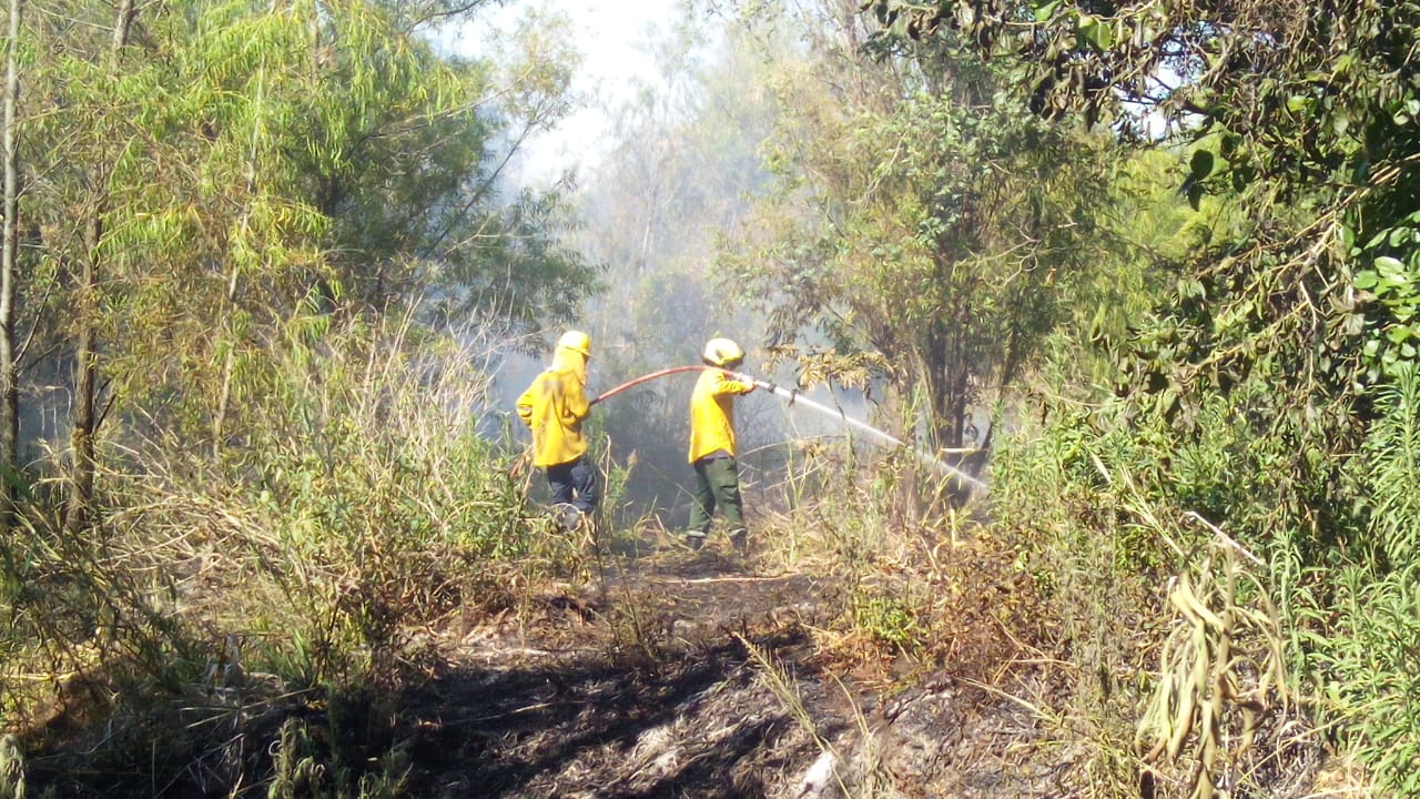 Recomendaciones para prevenir incendios