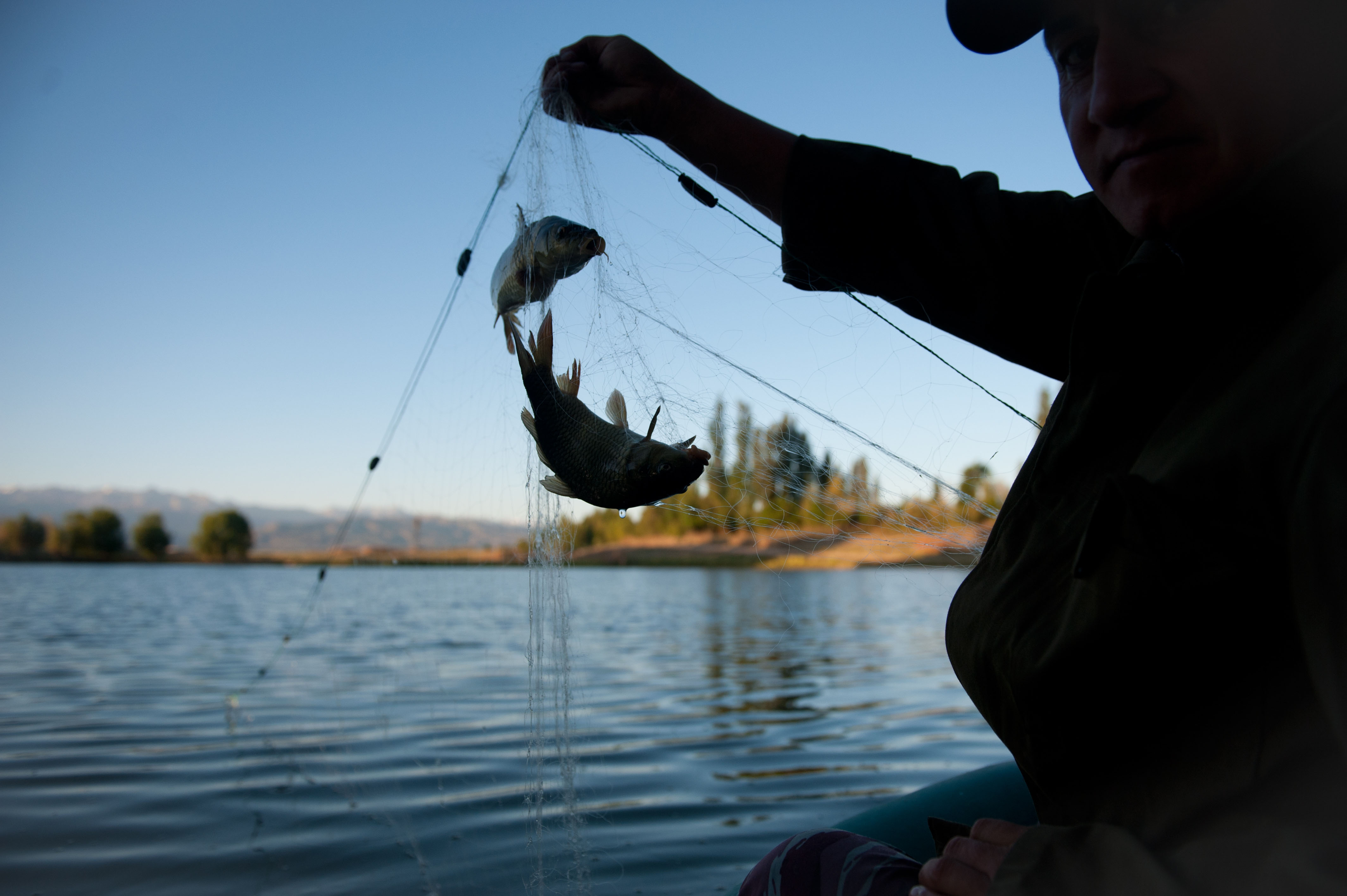 Censan a pescadores artesanales locales