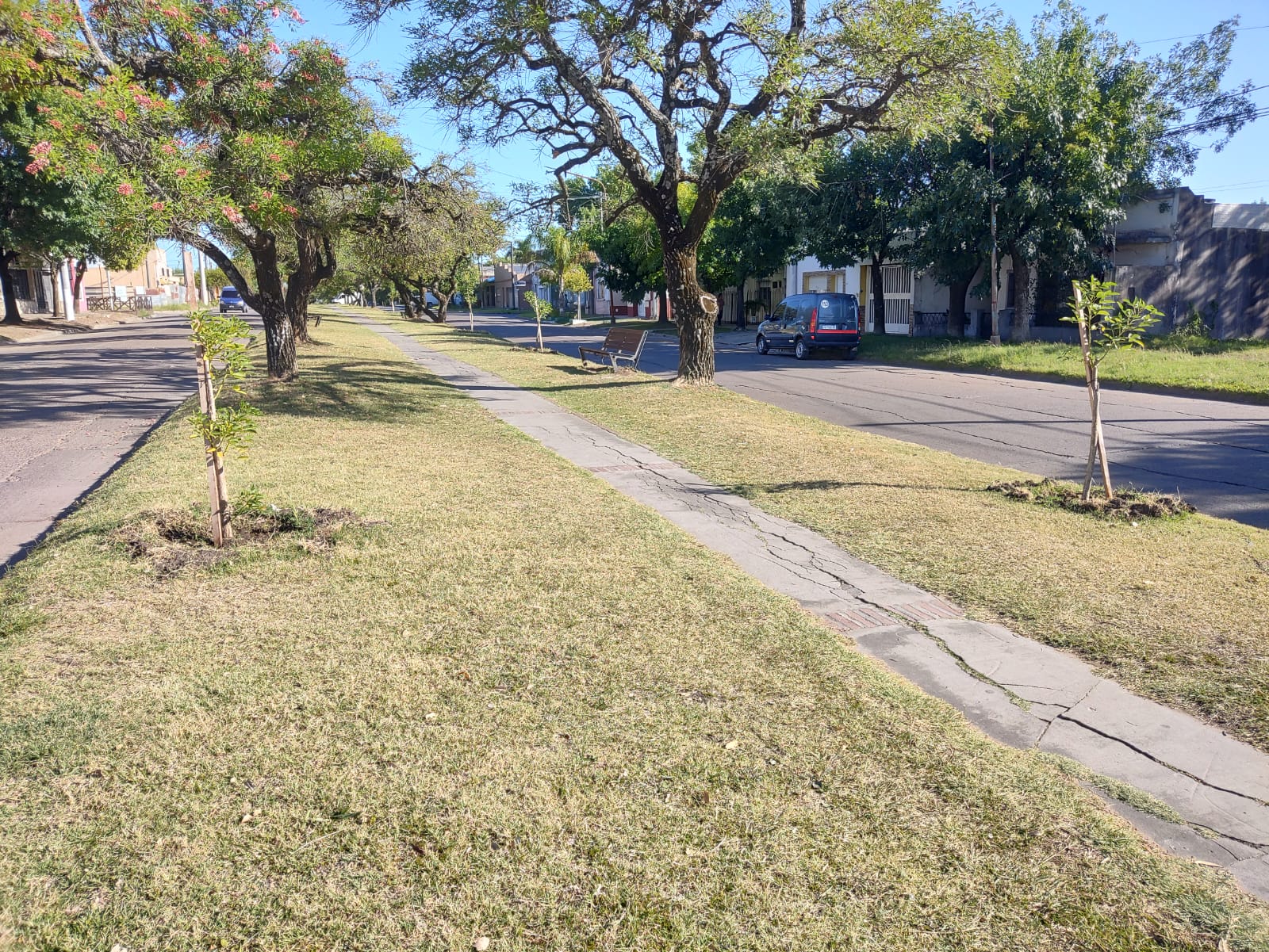 Ya se plantaron más de mil árboles en Concepción del Uruguay