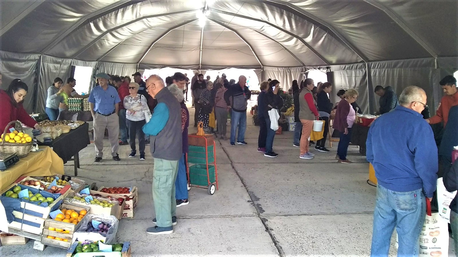 Vuelve este sábado la Feria Franca Municipal