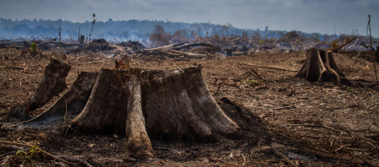 Se realizará el tercer taller sobre “Lineamientos para planificar la adaptación al cambio climático”