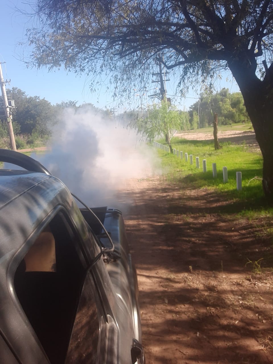 La Municipalidad continúa con acciones frente al Dengue