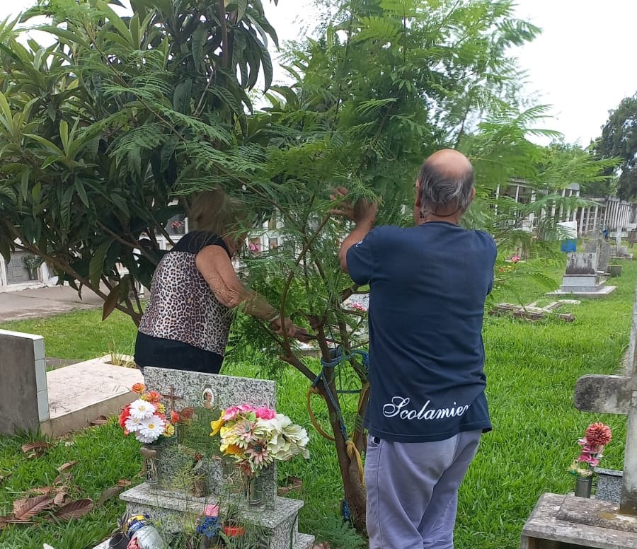 El Cementerio continúa su campaña de prevención ante el Dengue