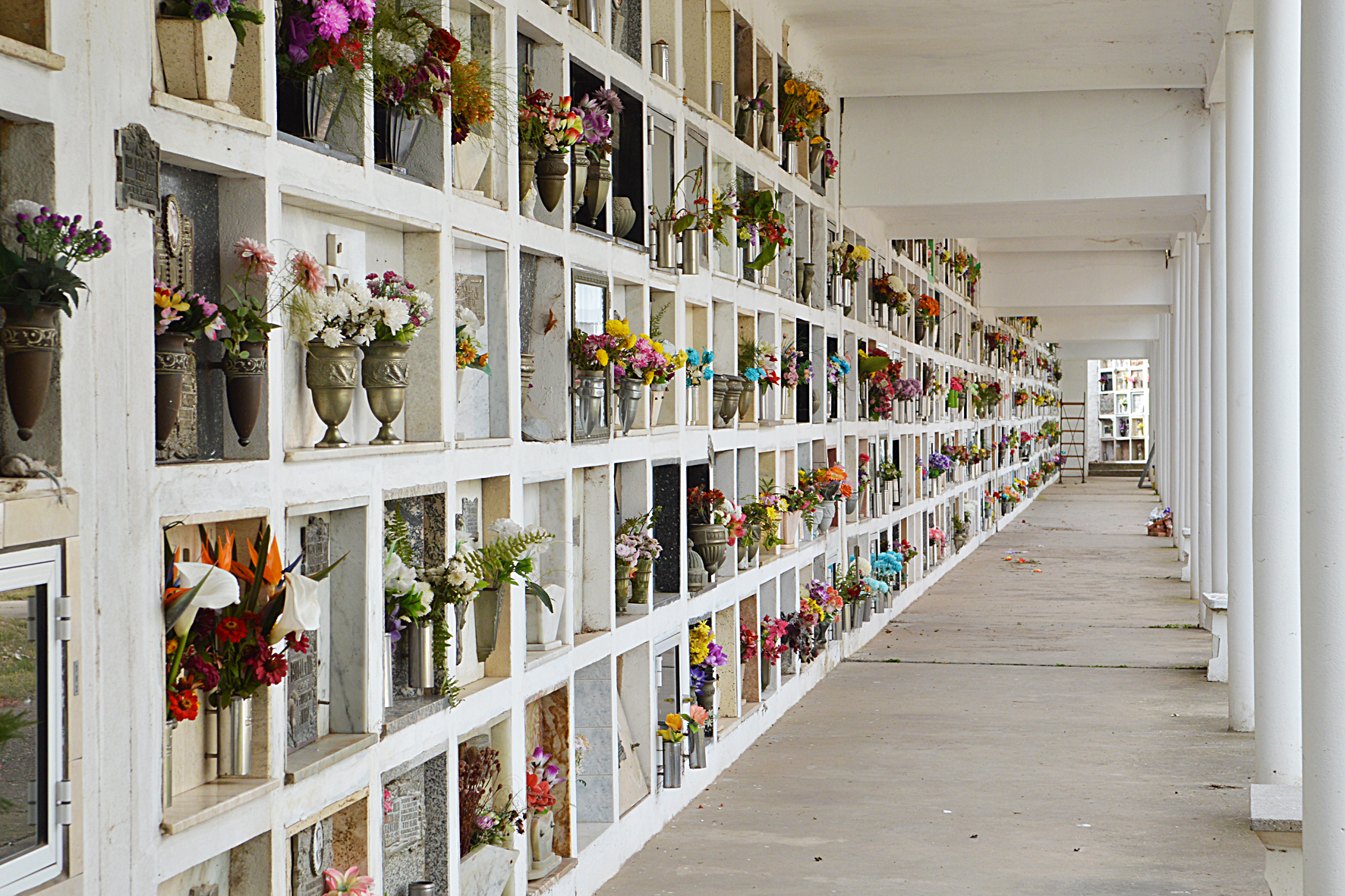 cementerio municipal
